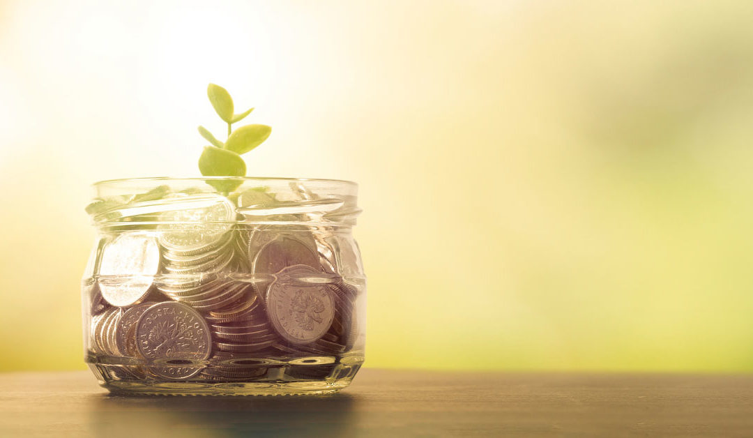 Budget Tips and Tricks